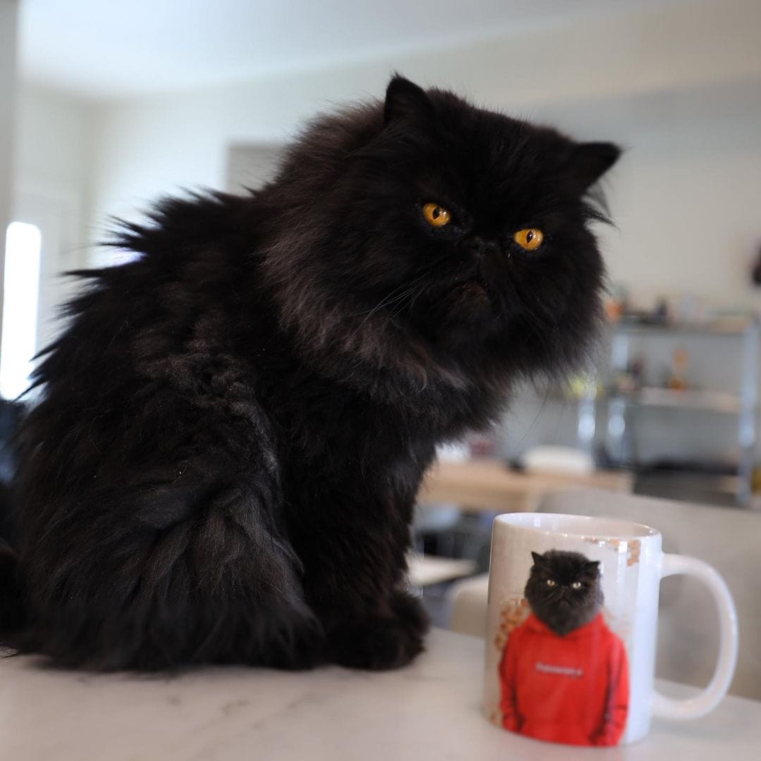 The Hypebeast - Custom Mug