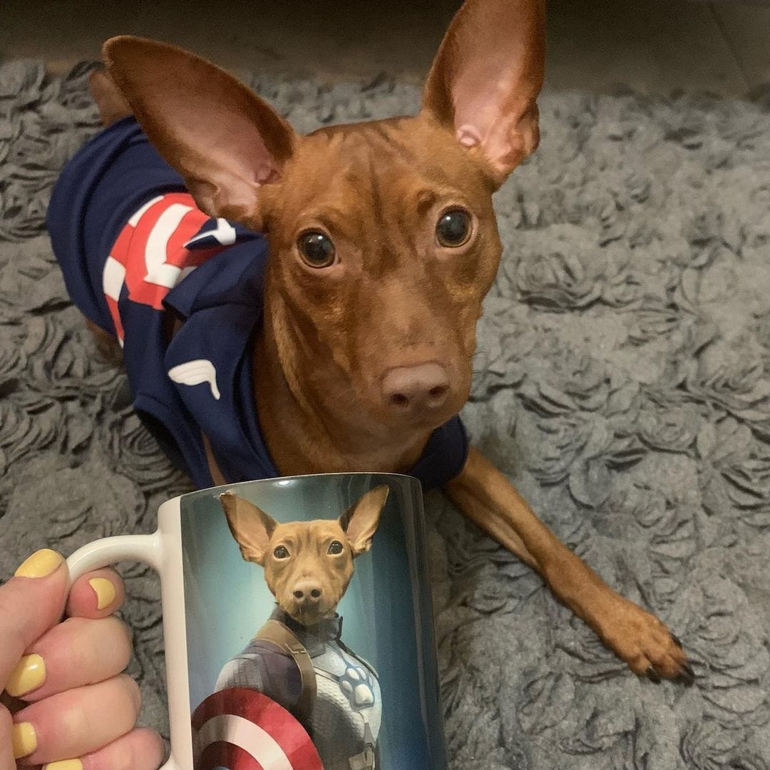 Captain Pawmerica - Custom Mug