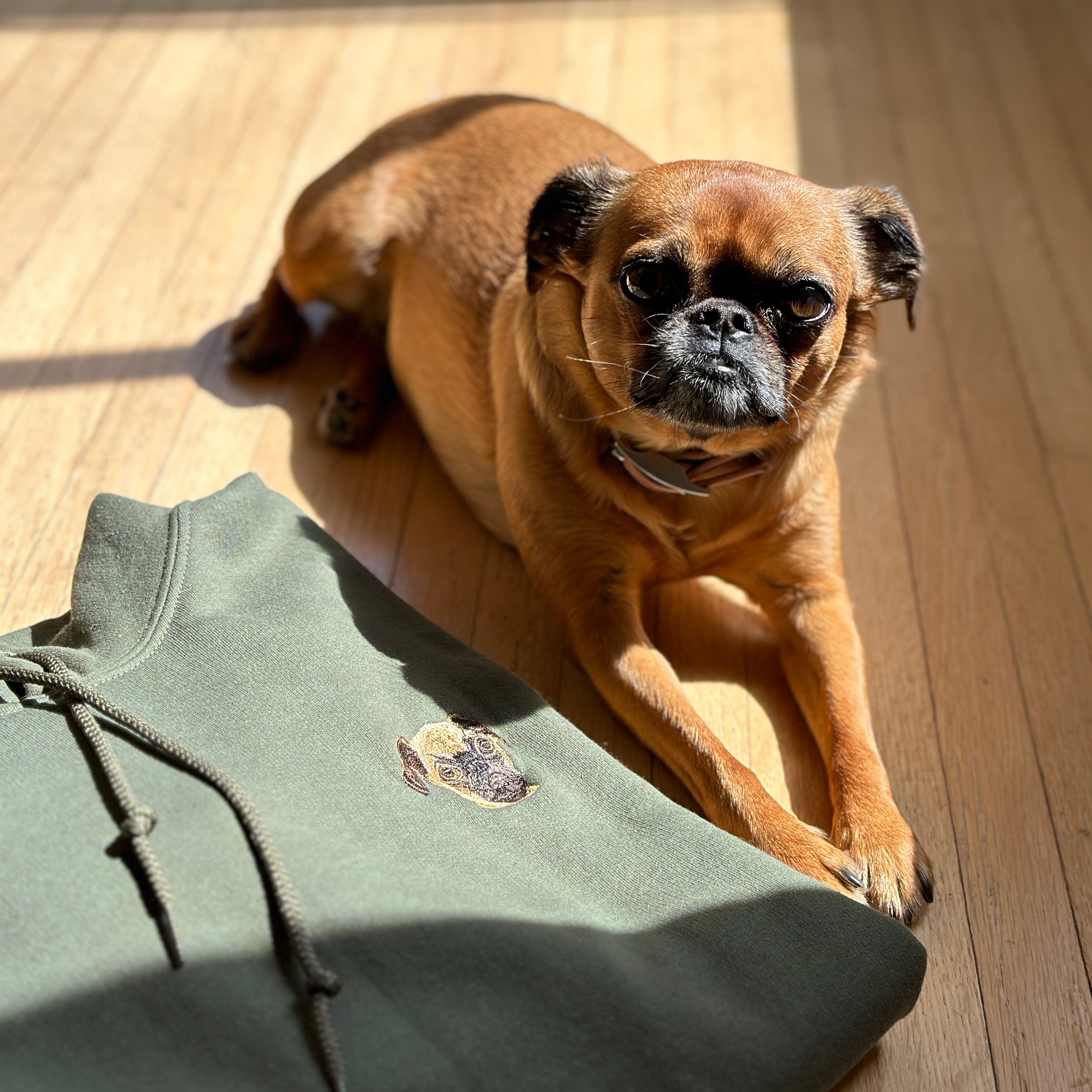 Pet Hoodie - Custom Embroidered