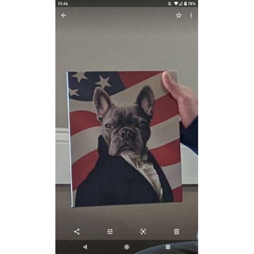 The Ambassador - USA Flag Edition - Custom Pet Canvas
