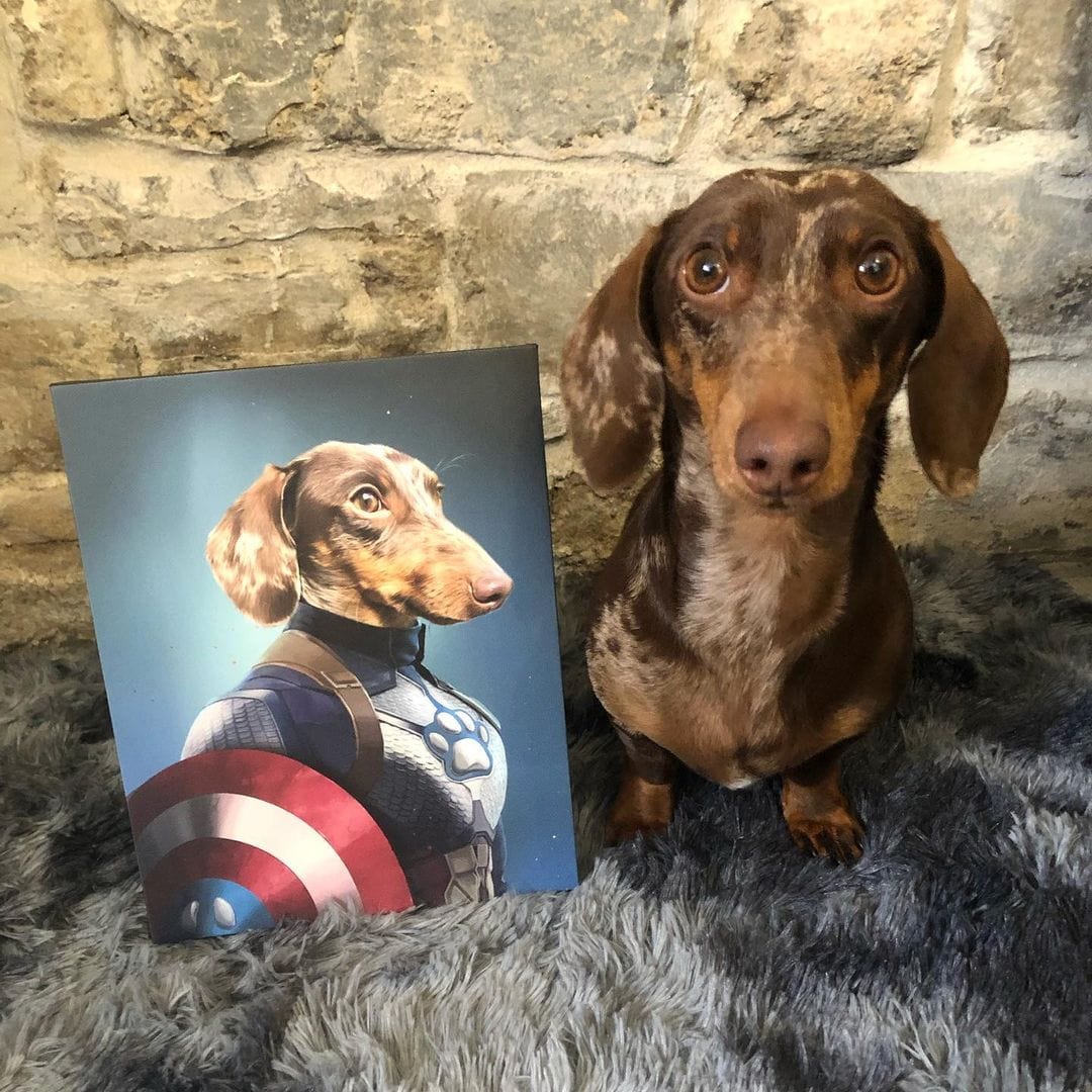 Captain Pawmerica - Custom Pet Canvas