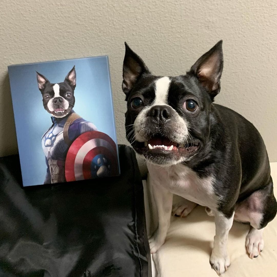 Captain Pawmerica - Custom Pet Canvas