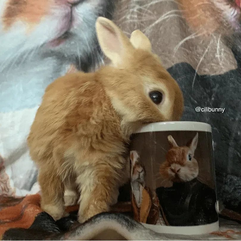 The Classy Couple - Custom Mug