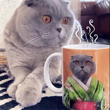 The Geisha - Custom Mug