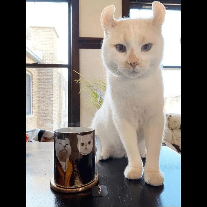 The Classy Couple - Custom Mug