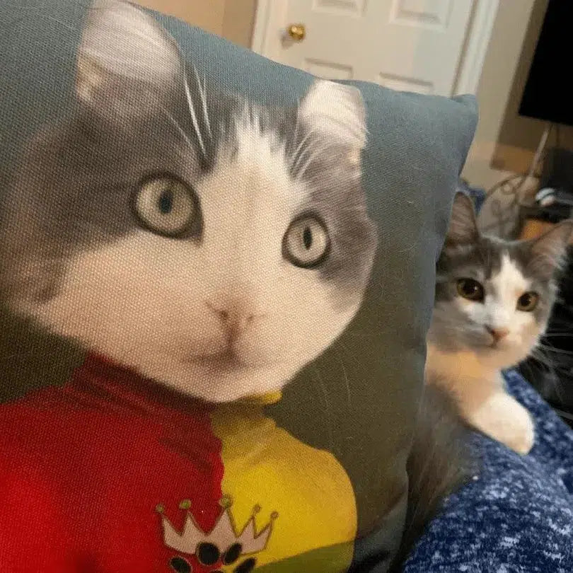 The Jester - Custom Throw Pillow