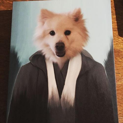 The Light Side - Custom Pet Canvas