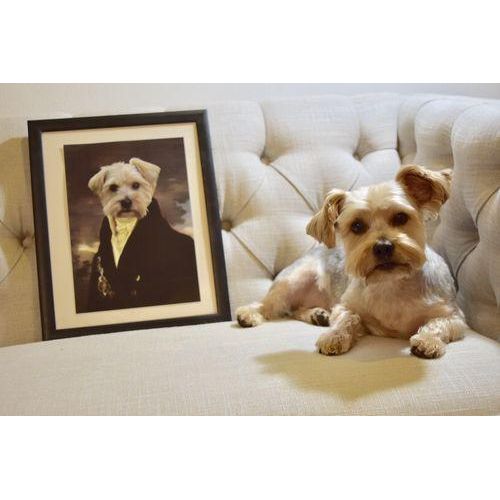 The Count - Custom Pet Poster