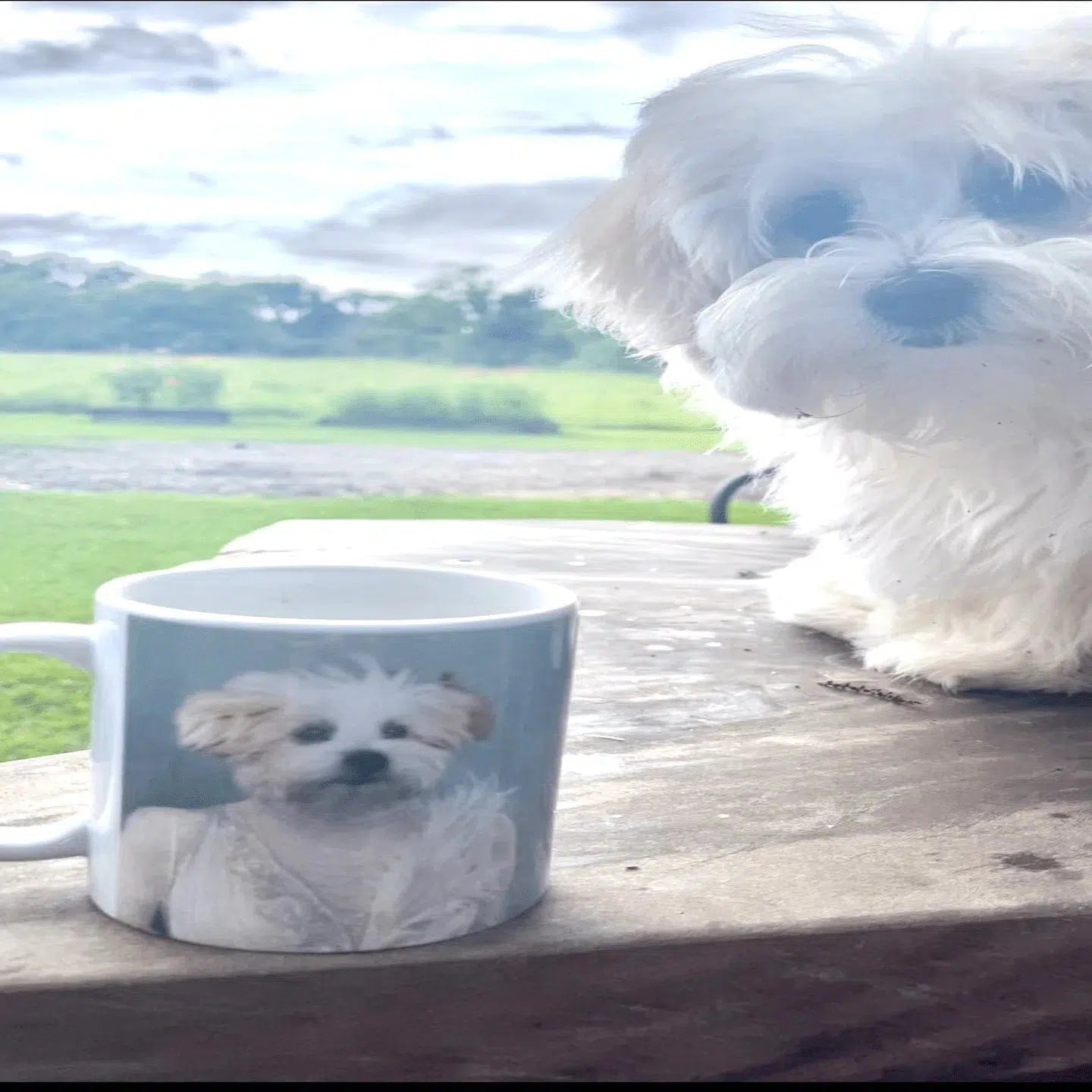 The Ballerina - Custom Mug