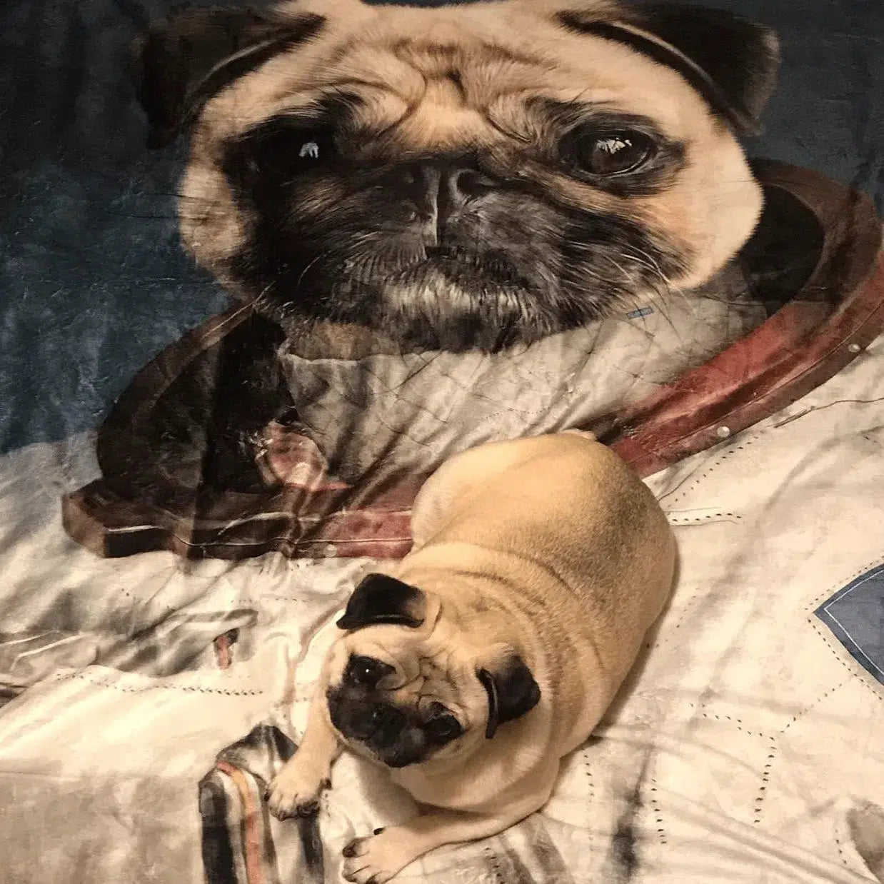 The Astronaut - Custom Pet Blanket