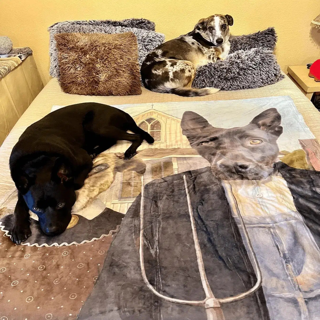 The American Gothic - Custom Pet Blanket