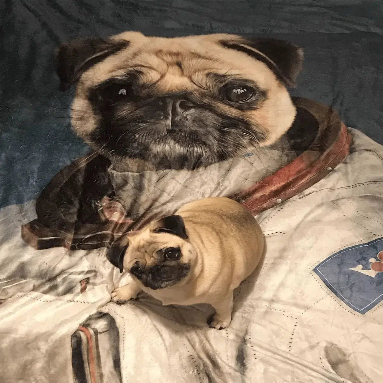 The Astronaut - Custom Pet Blanket