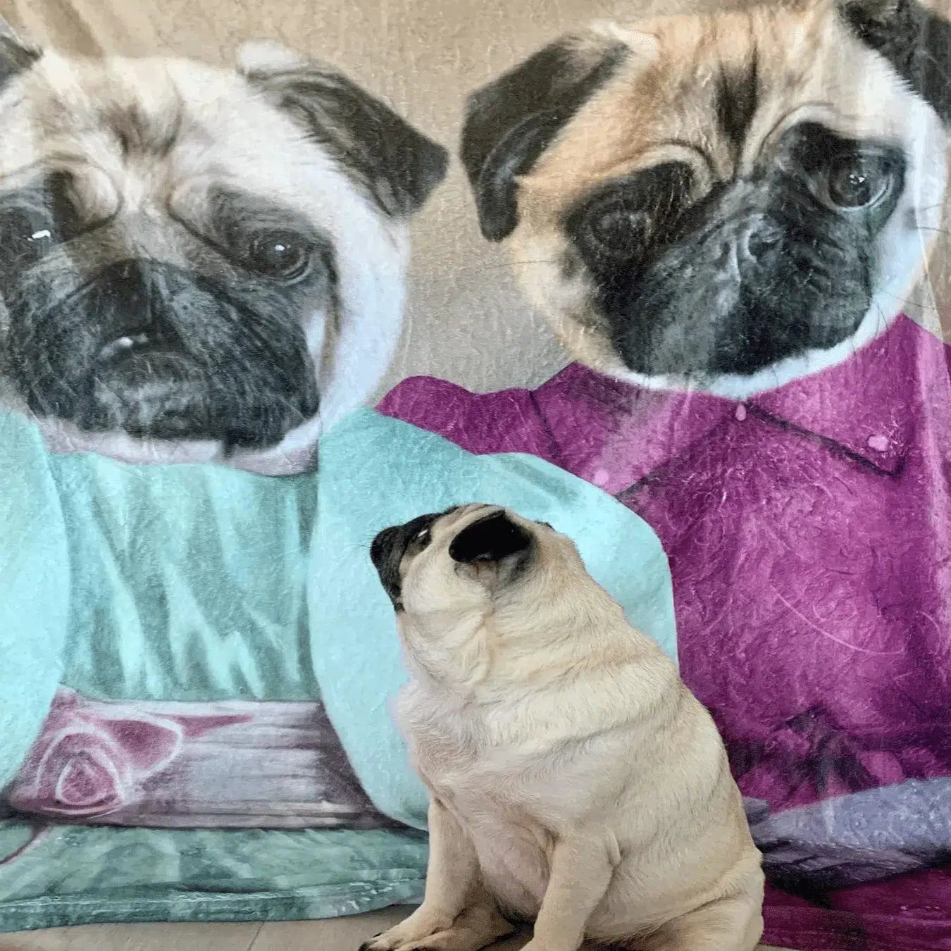 The Sisters - Custom Pet Blanket