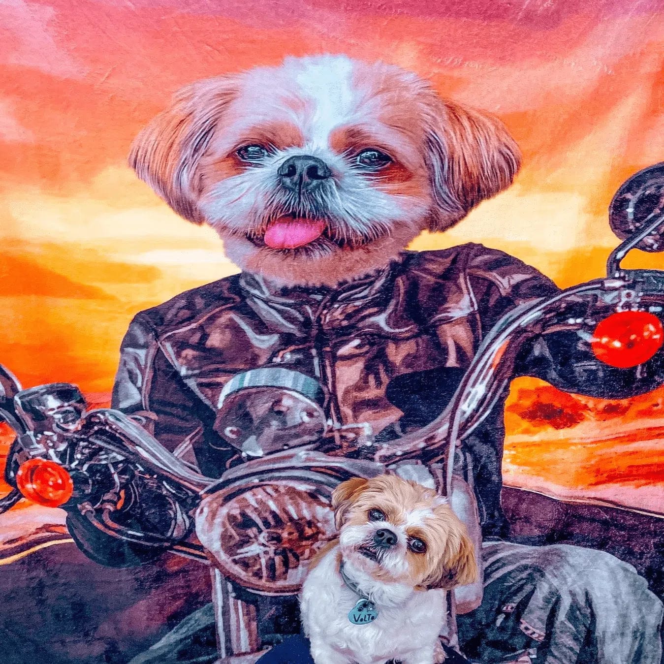 The Biker - Custom Pet Blanket