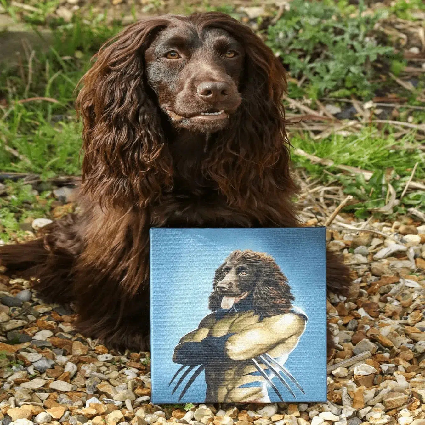 The Pawverine - Custom Pet Canvas