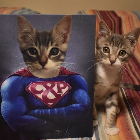 Supawman - Custom Pet Canvas
