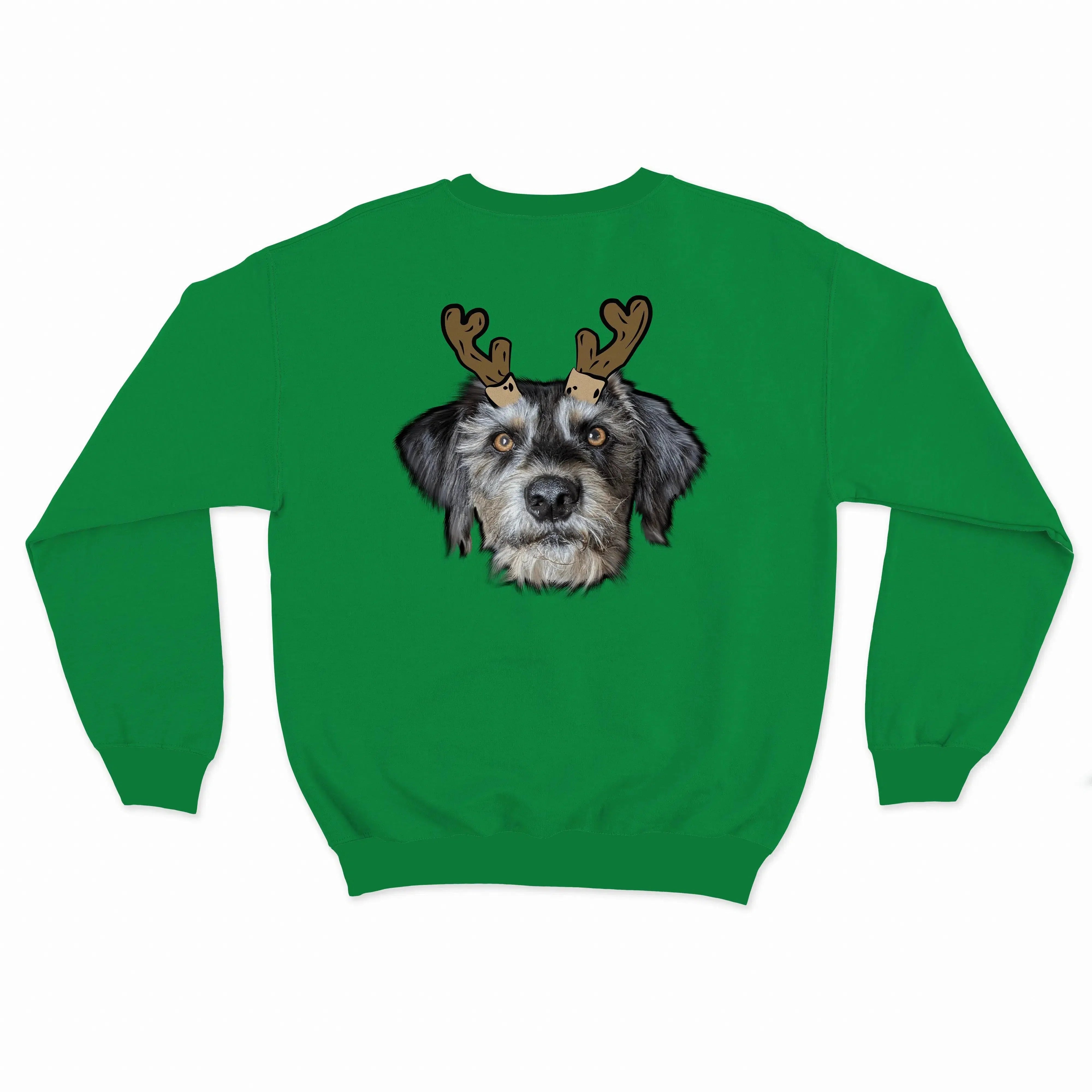 Royal and Paws - Custom Clothing Novelty Pet Face Christmas Sweatshirt Festive Green / Reindeer Antlers / S