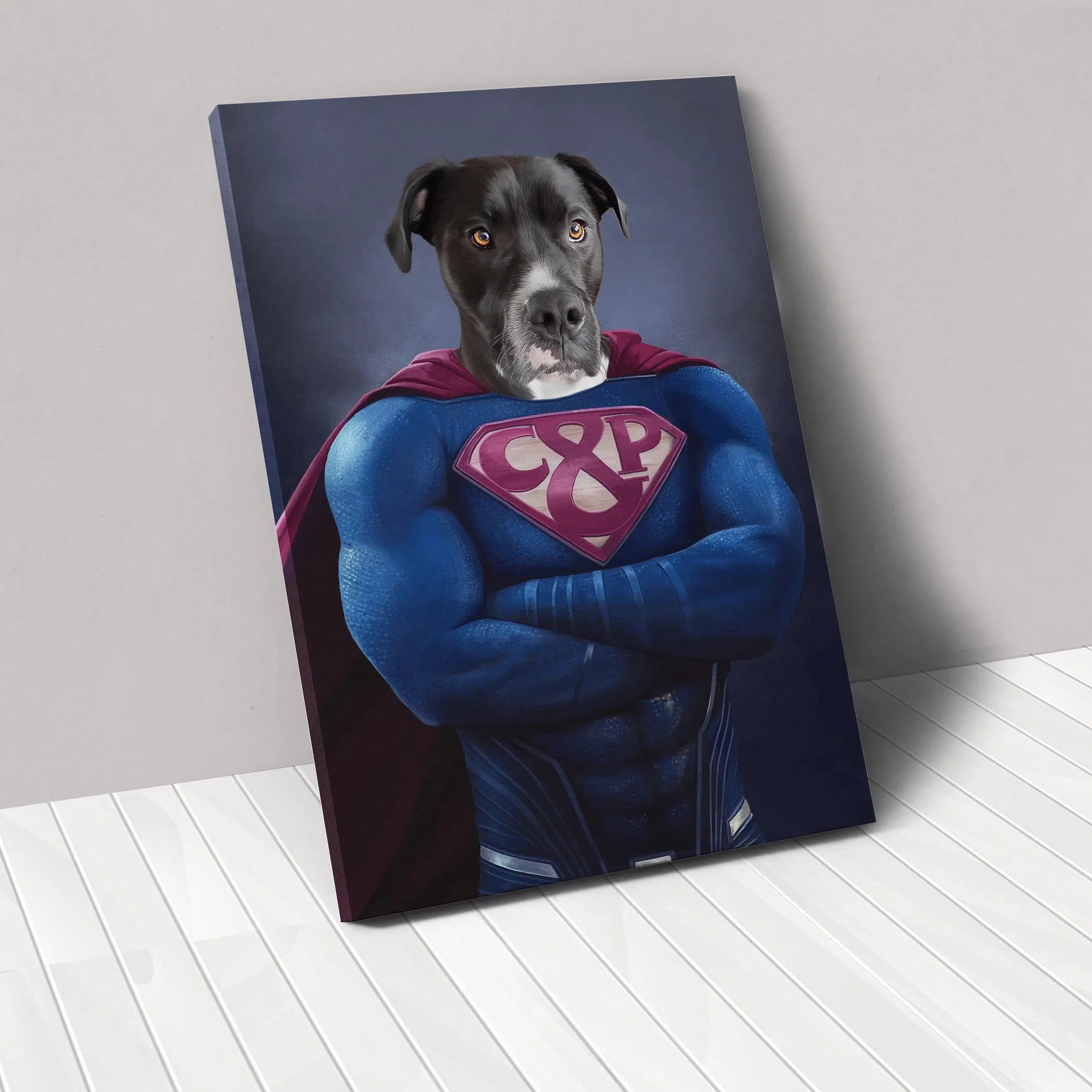Supawman - Custom Pet Canvas