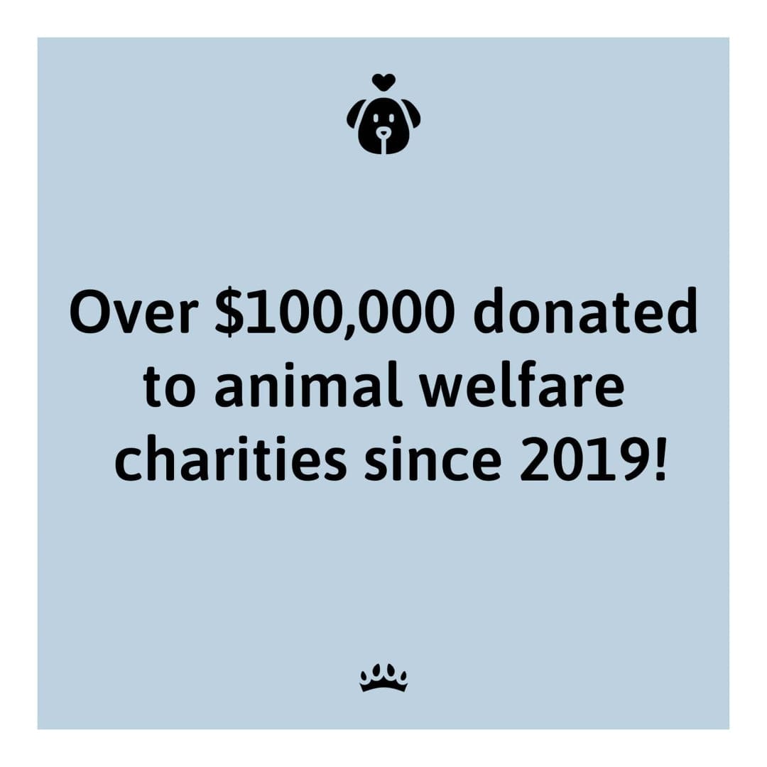 Spa Day Pet Portrait - Custom Pet Art