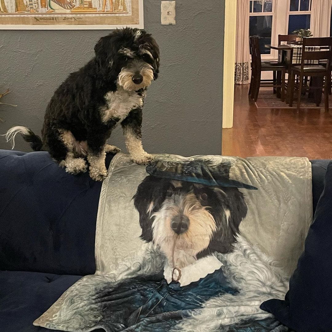 The Boa Lady - Custom Pet Blanket