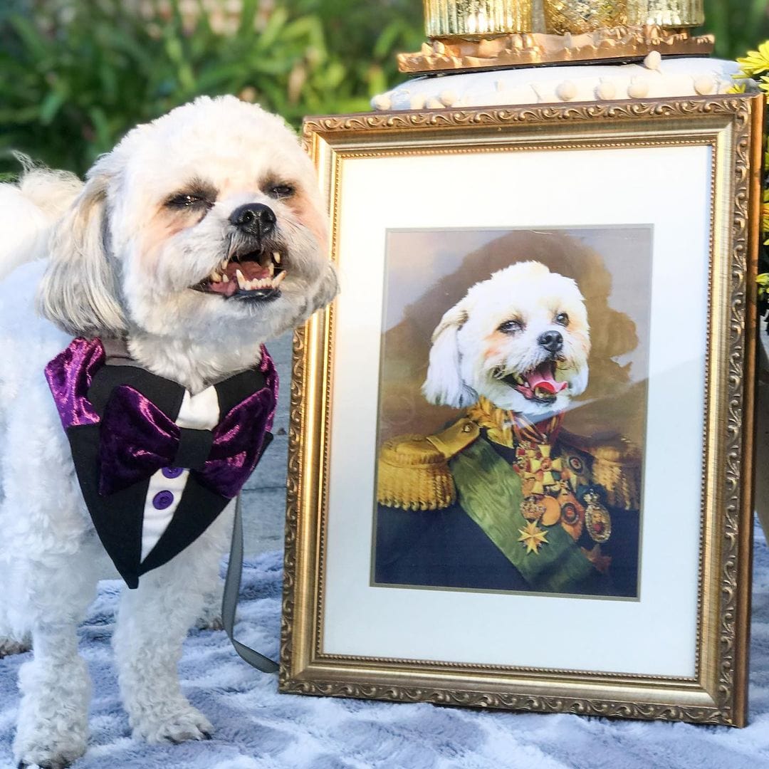 The Colonel - Custom Pet Poster