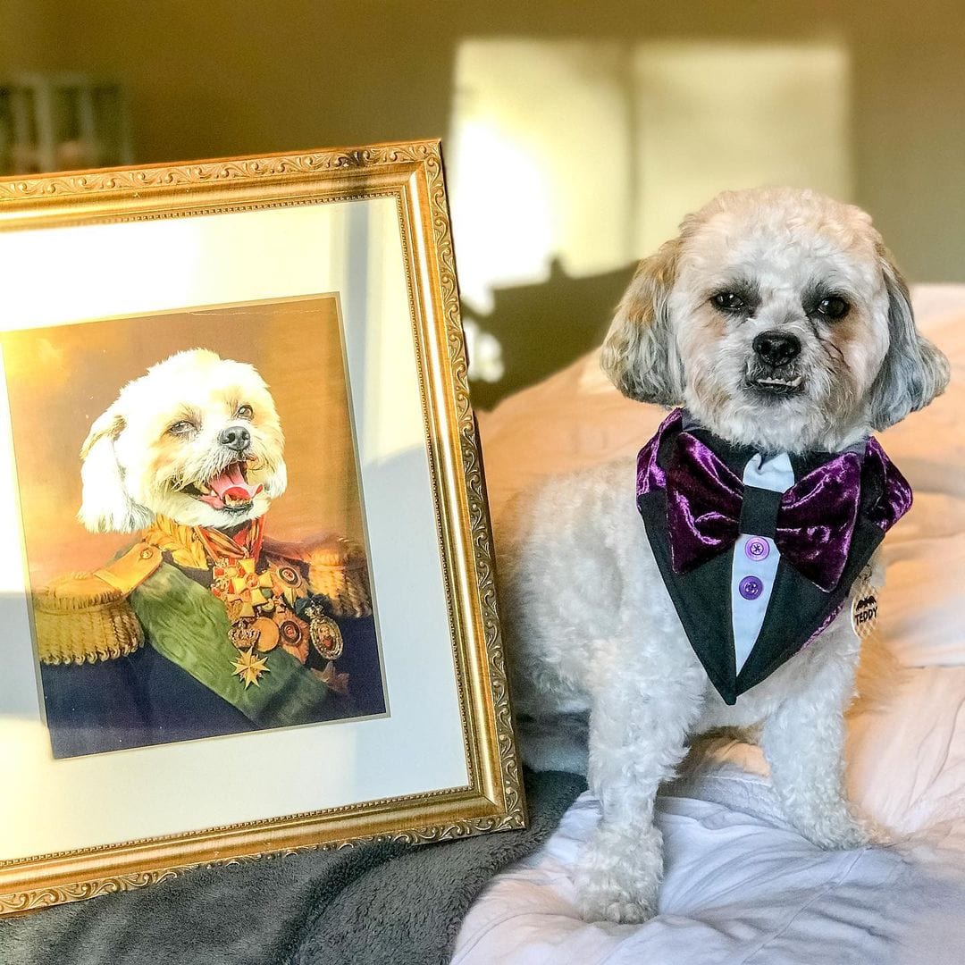 The Colonel - Custom Pet Poster