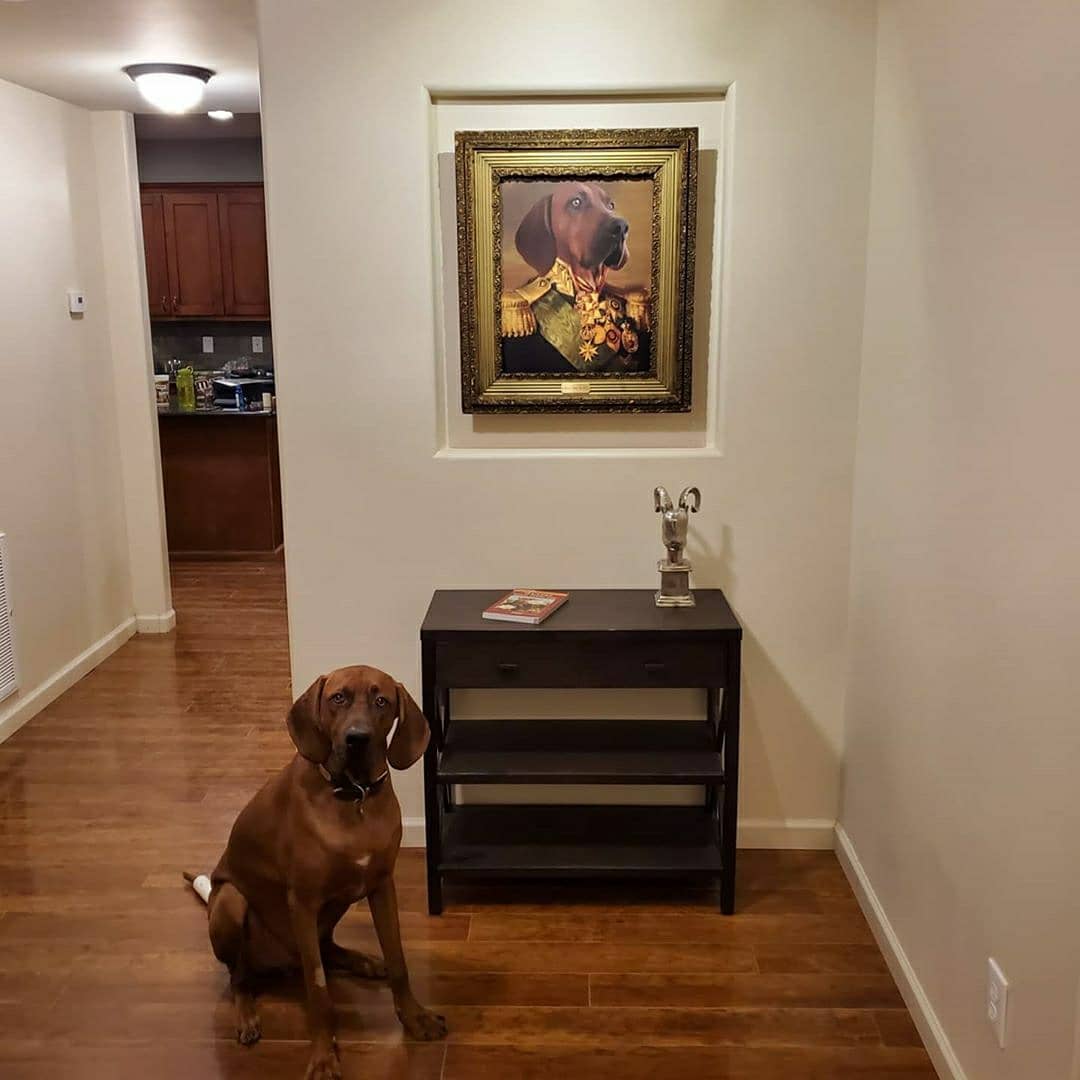 The Colonel - Custom Pet Poster