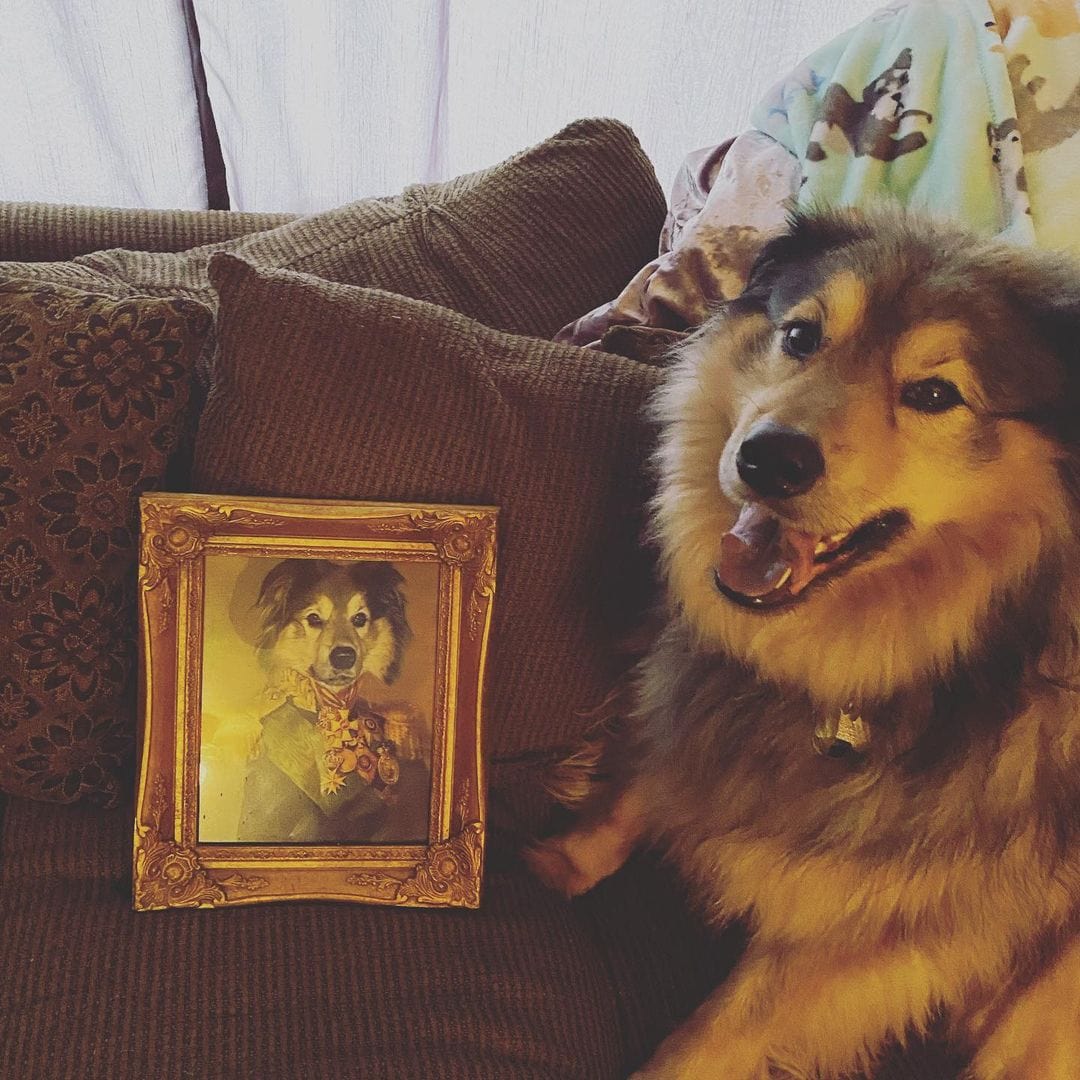 The Colonel - Custom Pet Poster