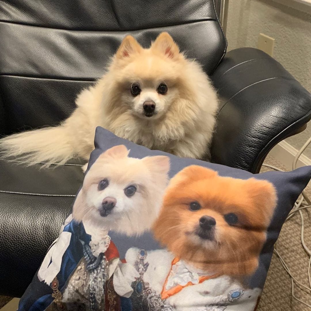 The Rulers - Custom Throw Pillow