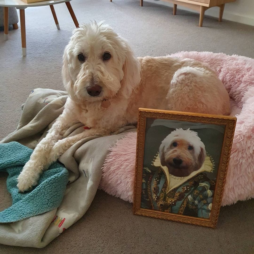 The Sapphire Queen - Custom Pet Poster