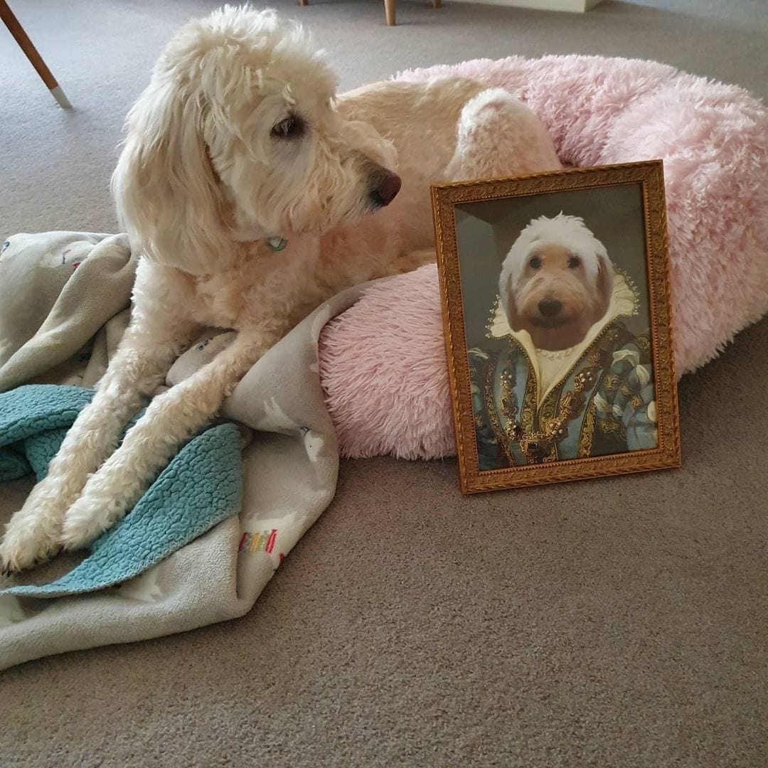 The Sapphire Queen - Custom Pet Poster