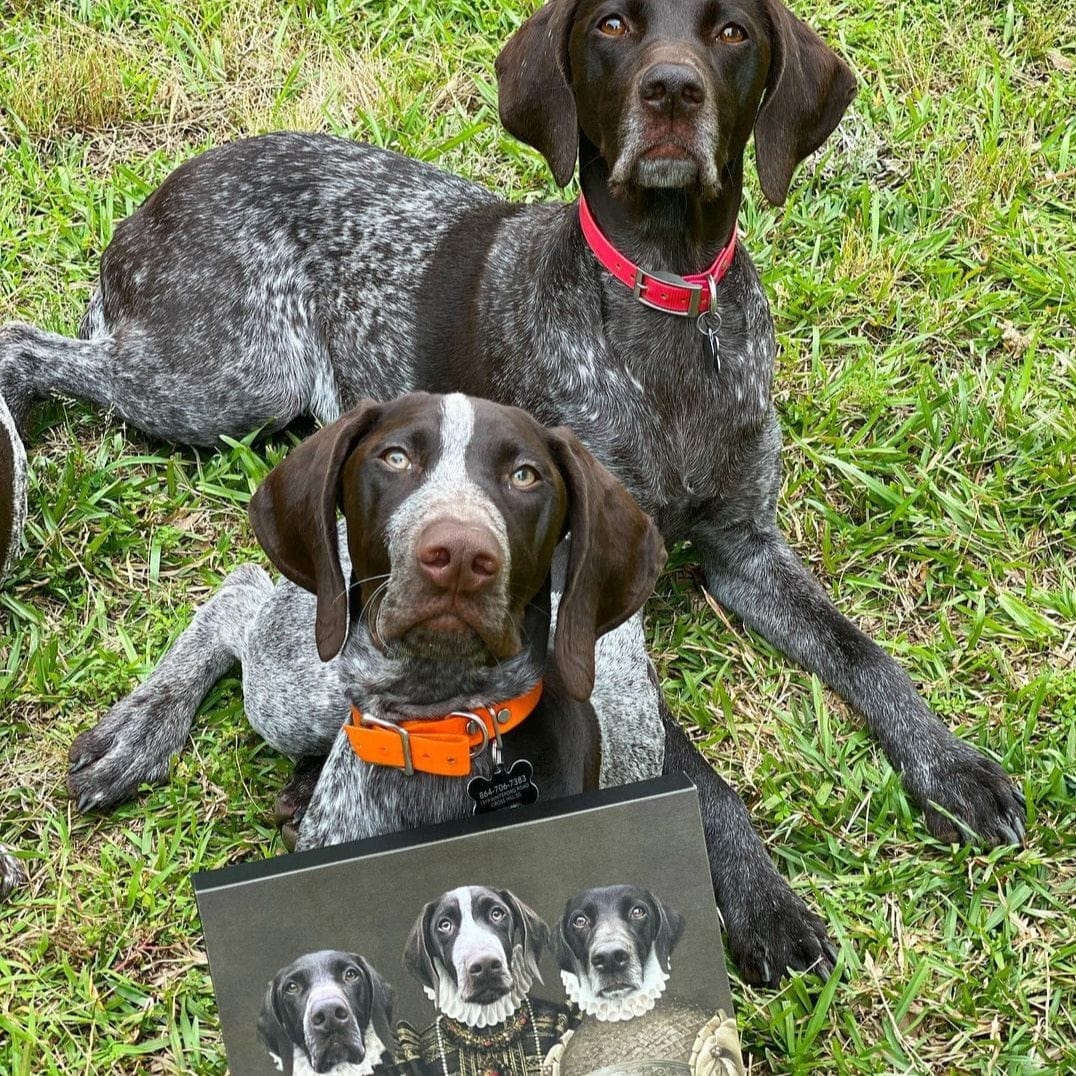 The Three Queens - Custom Pet Canvas
