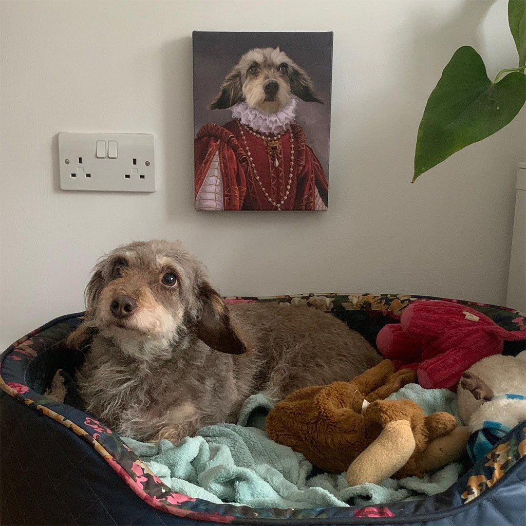 The Queen of Roses - Custom Pet Canvas