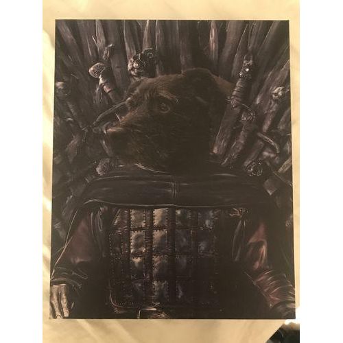 The Kingslayer - Custom Pet Canvas