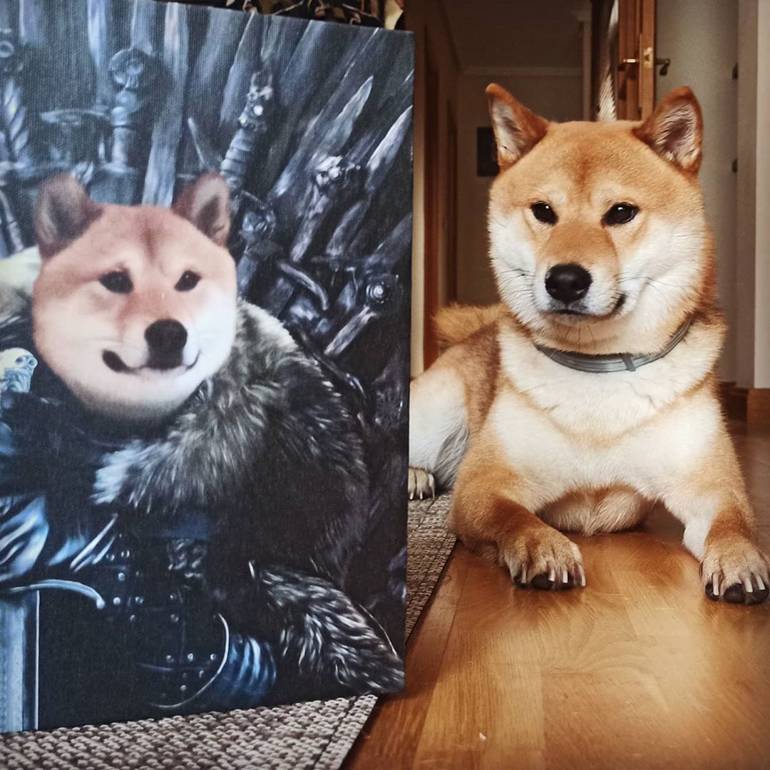 The King in the North - Custom Pet Canvas