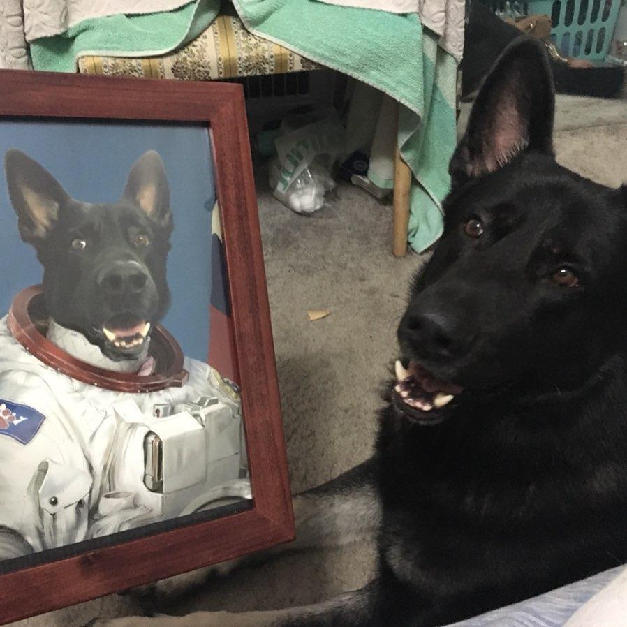 The Astronaut - Custom Pet Poster