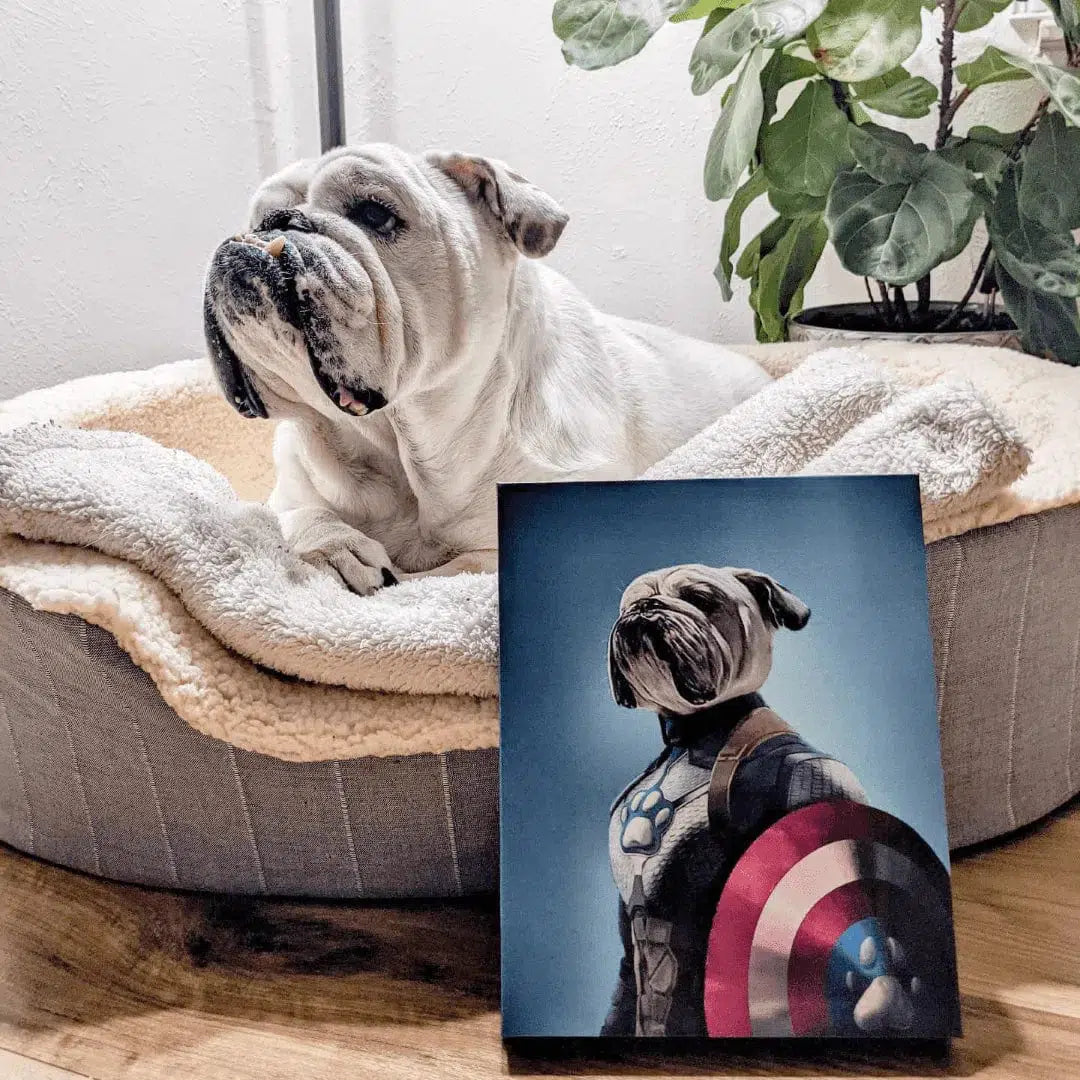 Captain Pawmerica - Custom Pet Canvas
