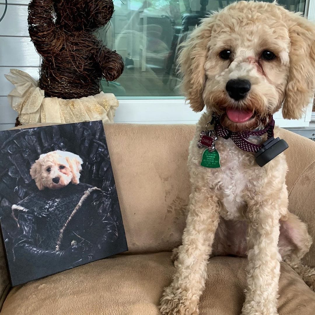 The Lone Wolf - Custom Pet Canvas