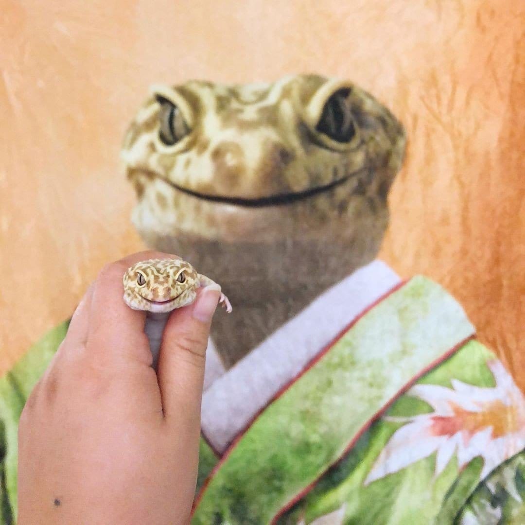 The Geisha - Custom Pet Blanket