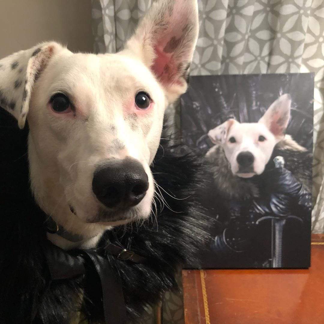 The King in the North - Custom Pet Canvas