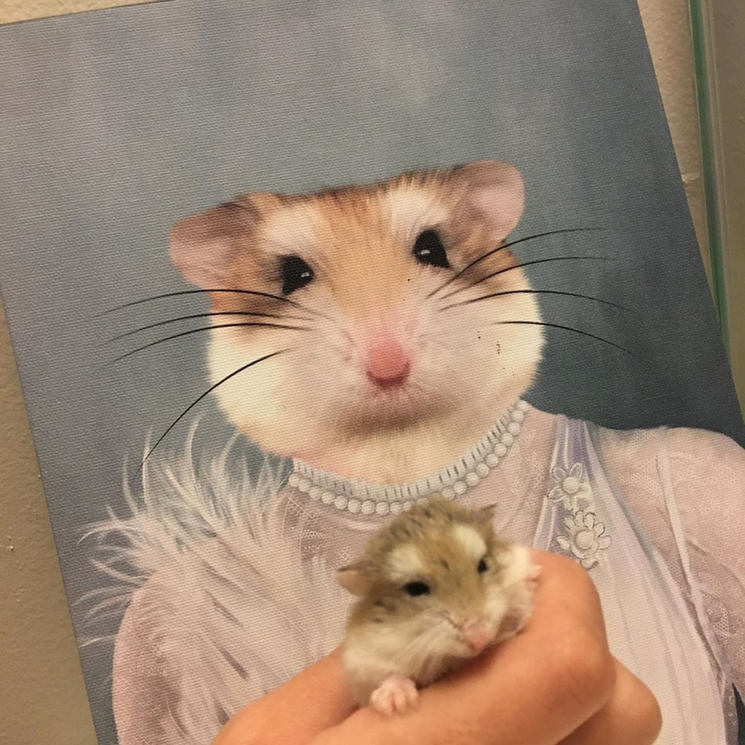 The Ballerina - Custom Pet Canvas