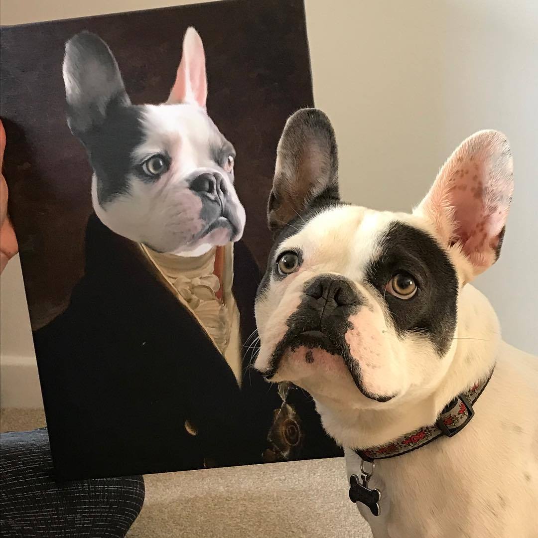 The Count - Custom Pet Canvas