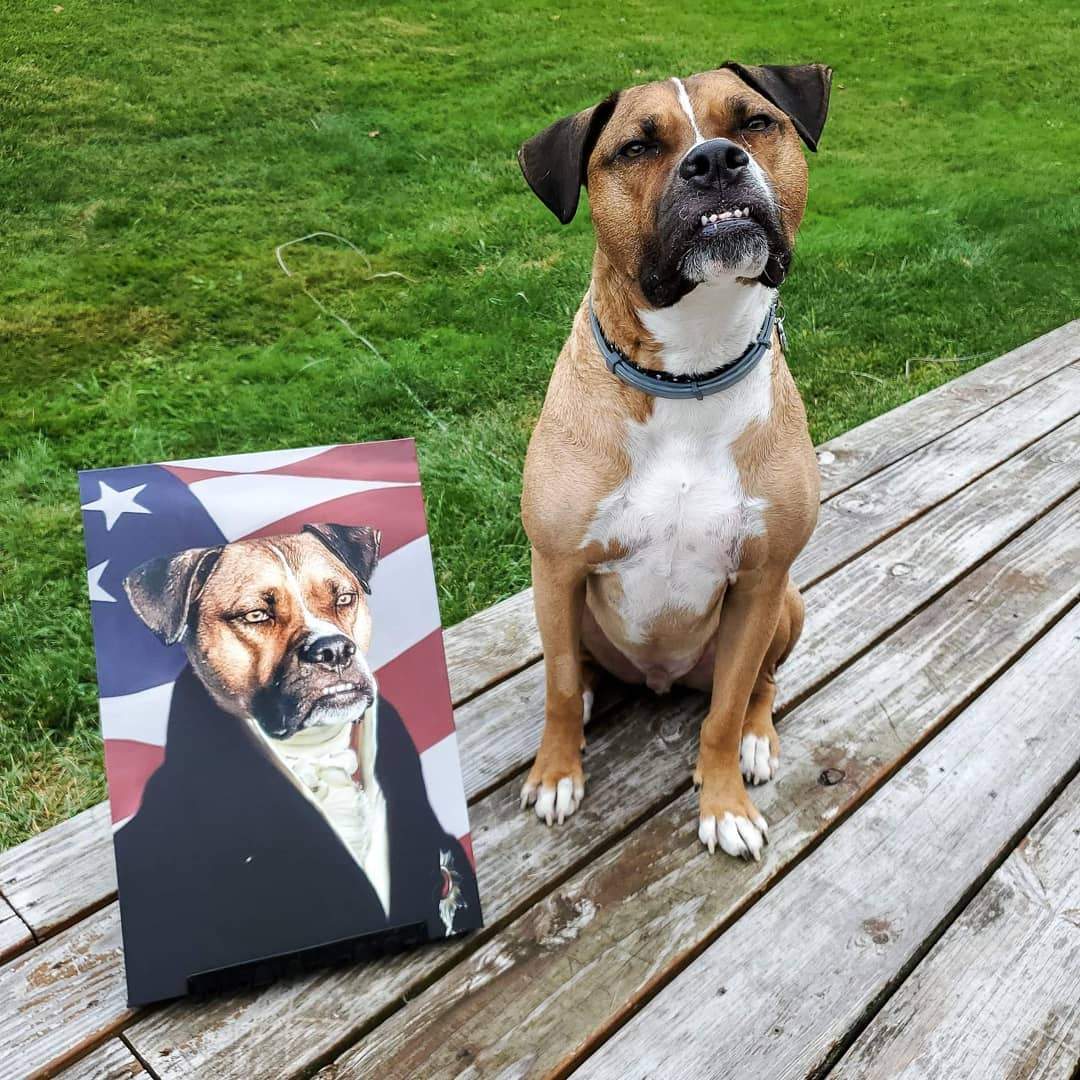 The Ambassador - USA Flag Edition - Custom Pet Canvas