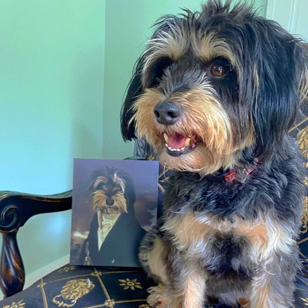 The Count - Custom Pet Canvas