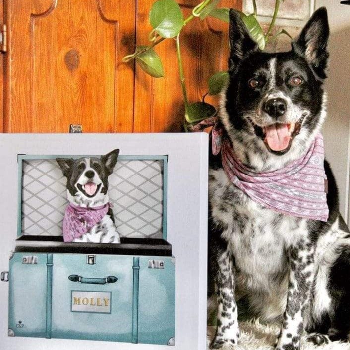 Baby Blue Luxury Trunk Pet Portrait