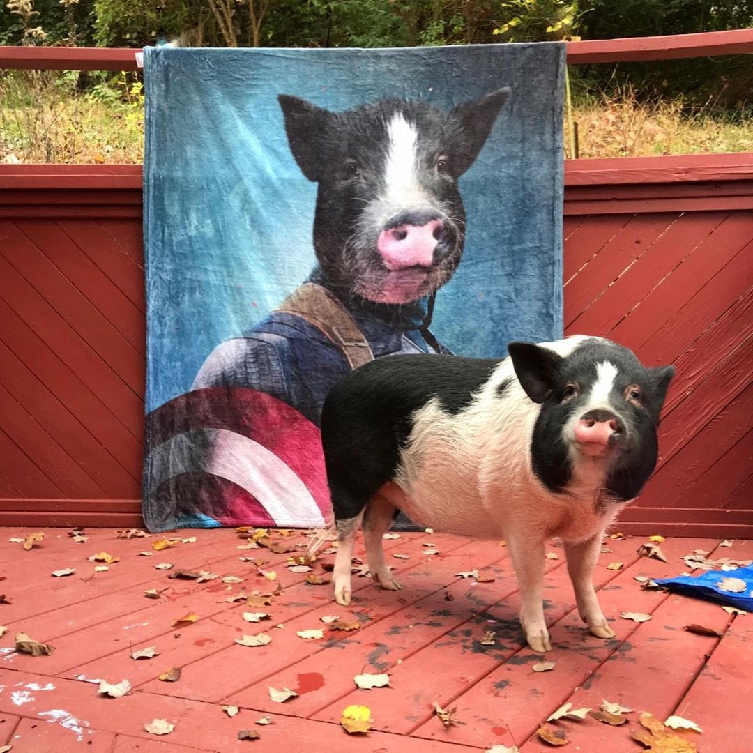 Captain Pawmerica - Custom Pet Blanket