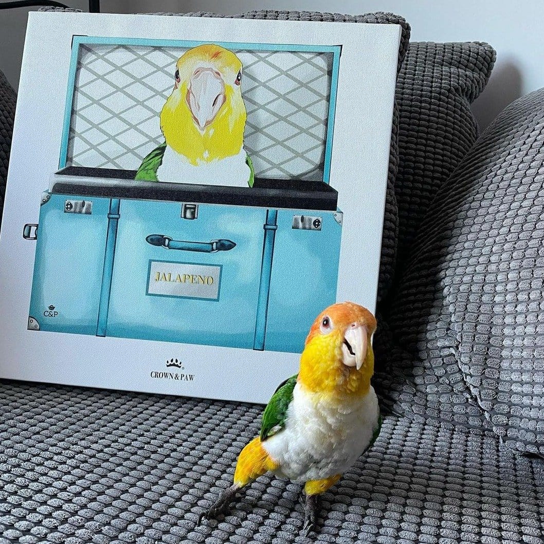 Baby Blue Luxury Trunk Pet Portrait