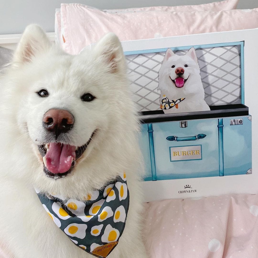 Baby Blue Luxury Trunk Pet Portrait