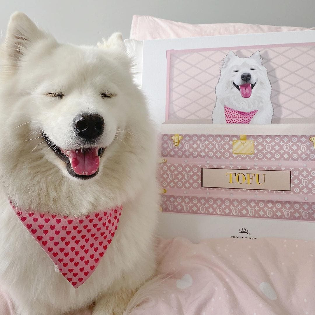 Bubblegum Pink Luxury Trunk Pet Portrait
