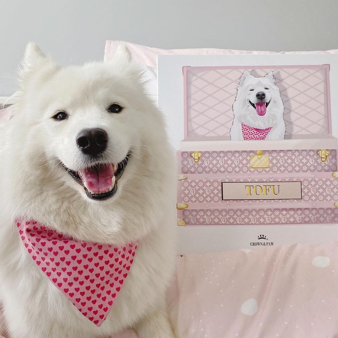 Bubblegum Pink Luxury Trunk Pet Portrait